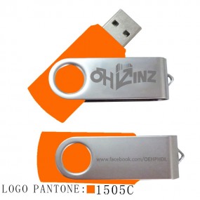 Tilpassede USB-minnepinner | Personlige USB-pinner med ...